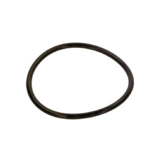 O-Ring 120,02 x 6,99-N, Dichtring für Handlochdeckel DN120 für Anode - 87185725380